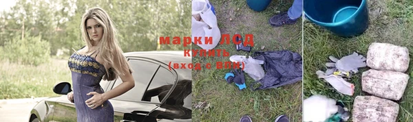спиды Кукмор