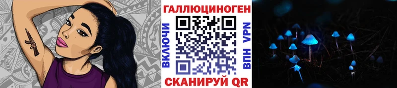 Псилоцибиновые грибы Psilocybine cubensis  Купить закладки  Березники 